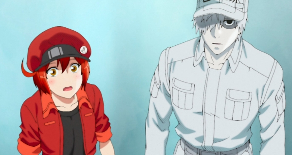 Cells At Work