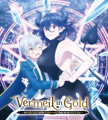 Vermeil in Gold Collector's Edition [Blu-Ray]