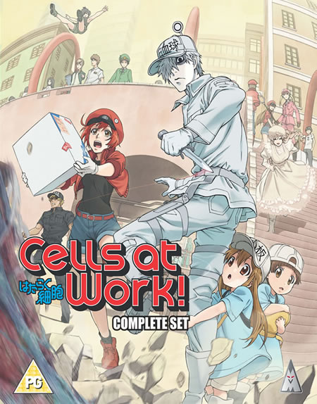 Cells at Work! [Blu-Ray]